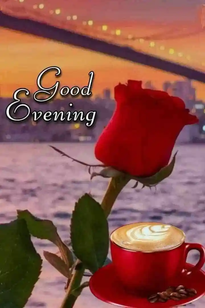 how to redownload whatsapp images