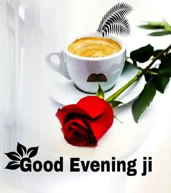 how to see whatsapp images in gallery