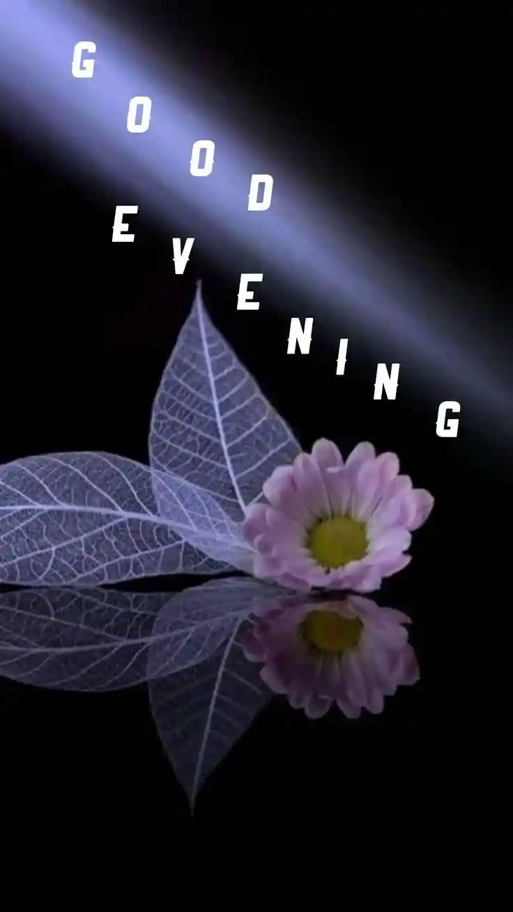 tamil whatsapp status images