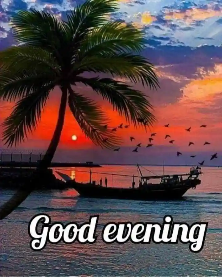 good morning flowers images for whatsapp