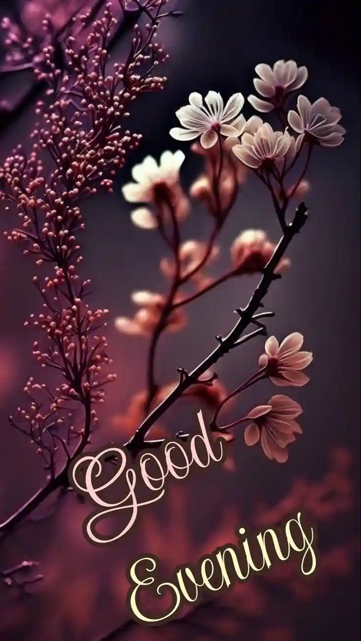 cute ganesh images for whatsapp dp