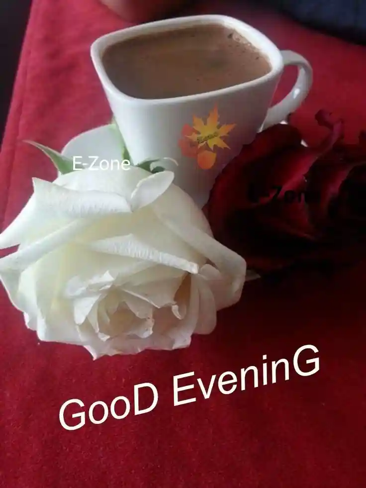 good morning rose images for whatsapp
