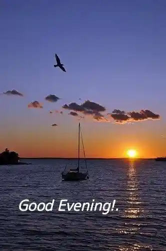 dp in whatsapp image