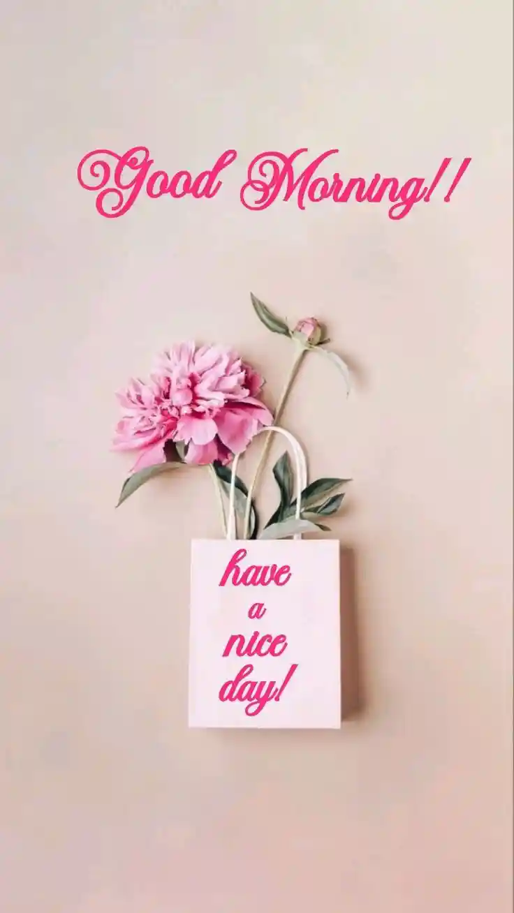 no whatsapp dp images