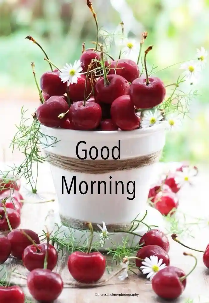 ram ram ji whatsapp image