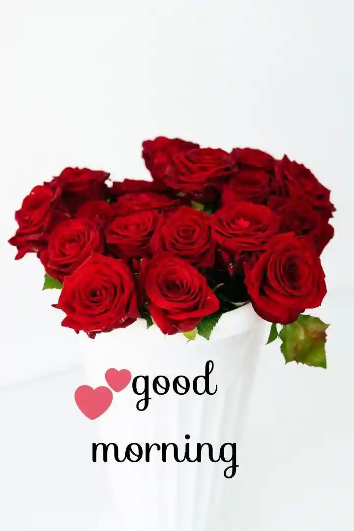 animated couple images for whatsapp dp