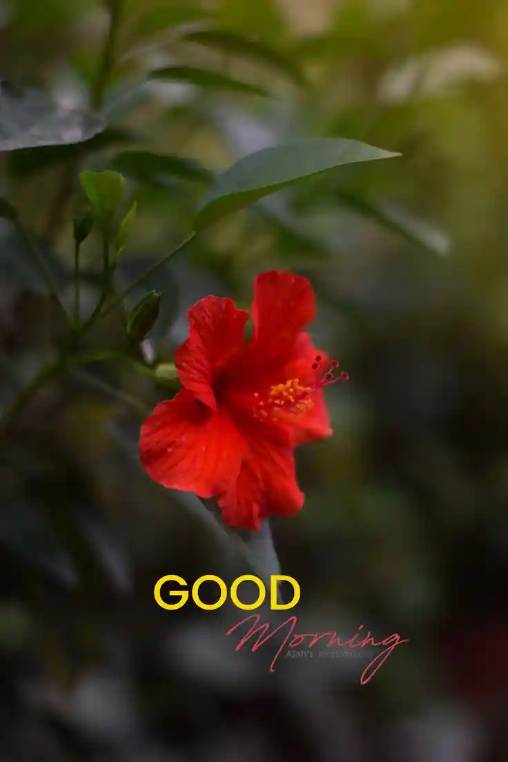 cute girl whatsapp dp images