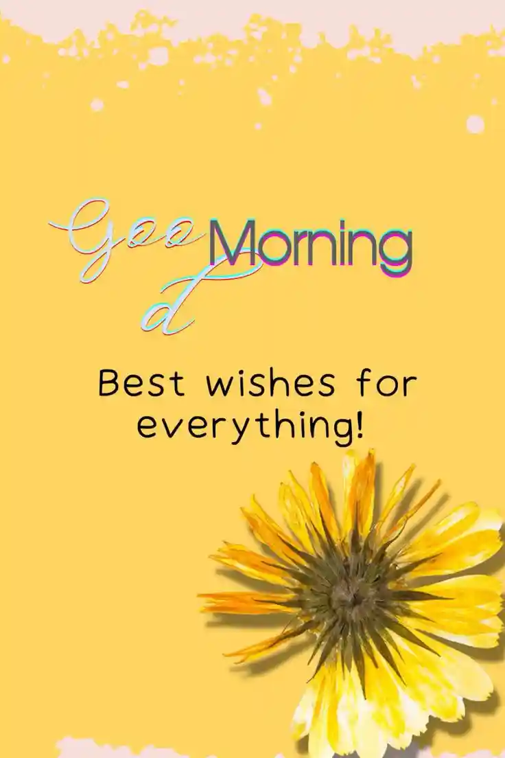 beautiful good morning images for whatsapp