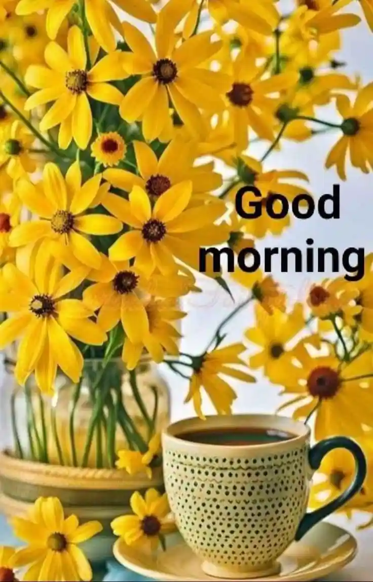 happy holi images for whatsapp