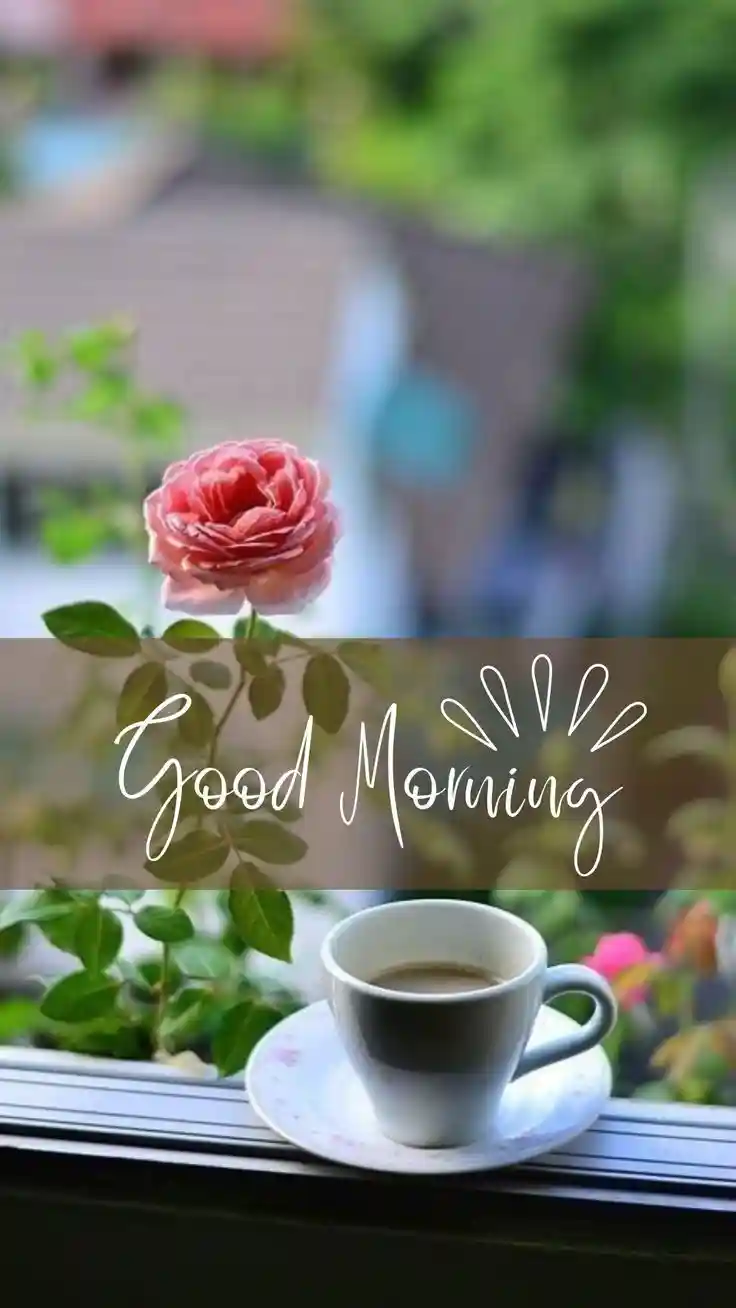 hd love images for whatsapp dp