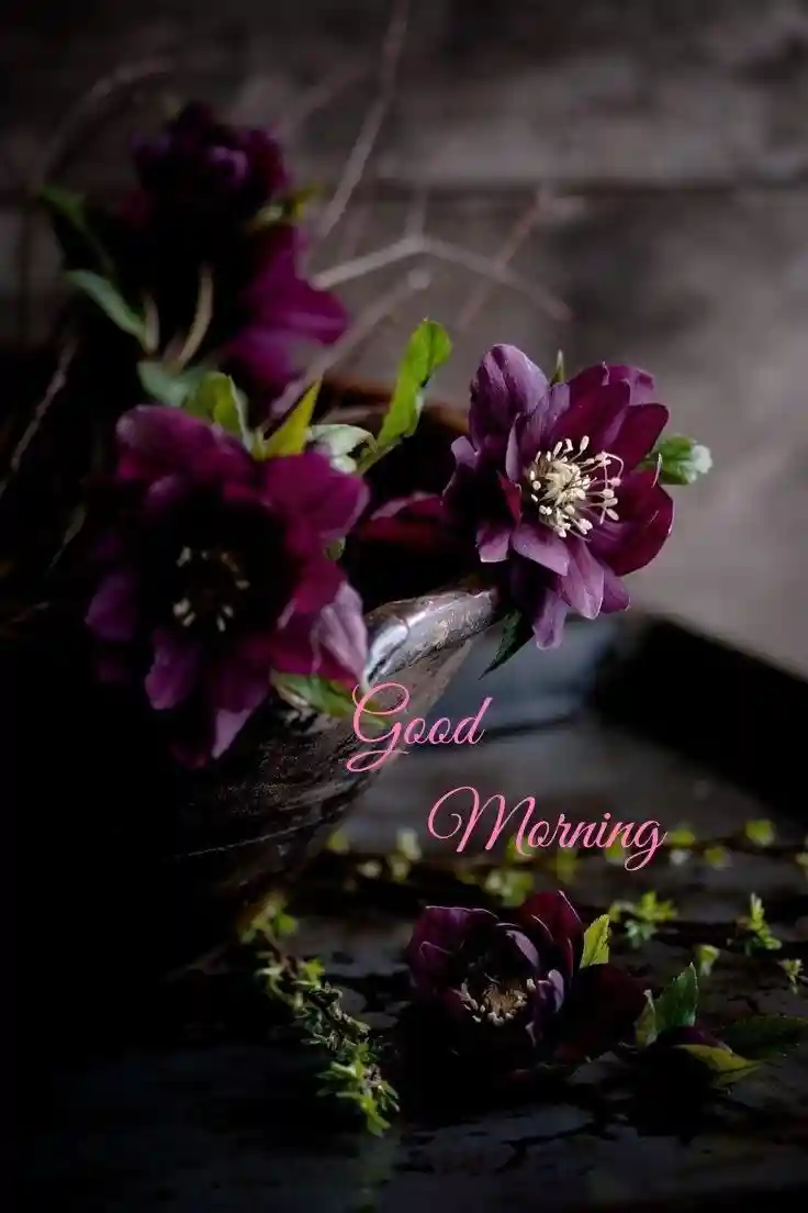 whatsapp dp god images