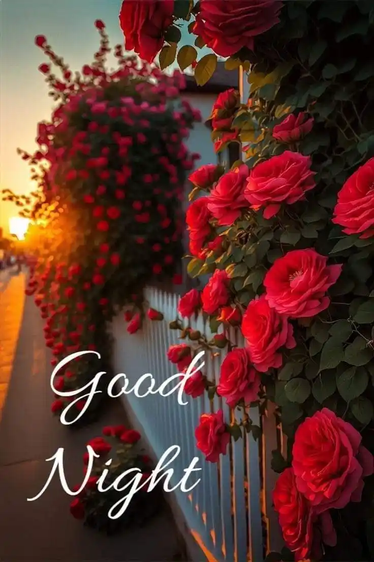 good night amman photos 139