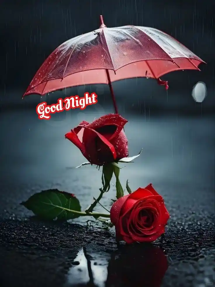 whatsapp dp hd for good night