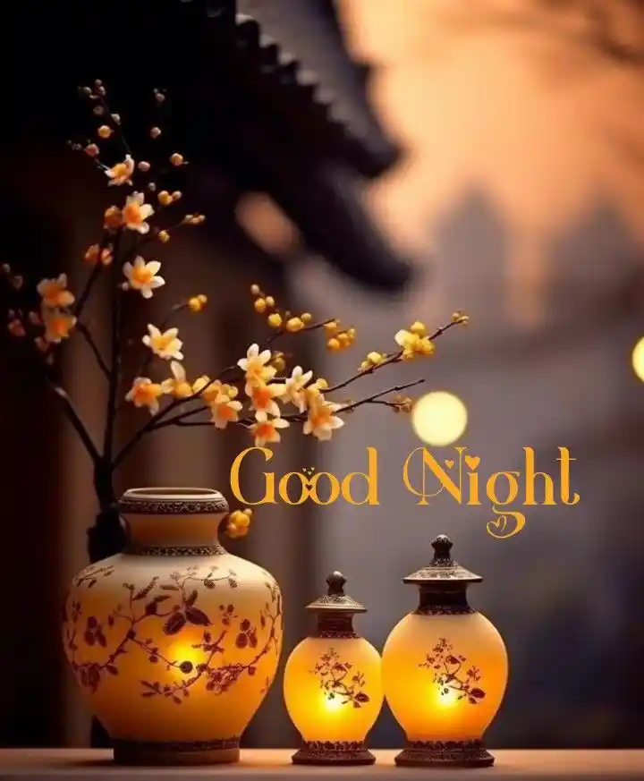 romantic night images