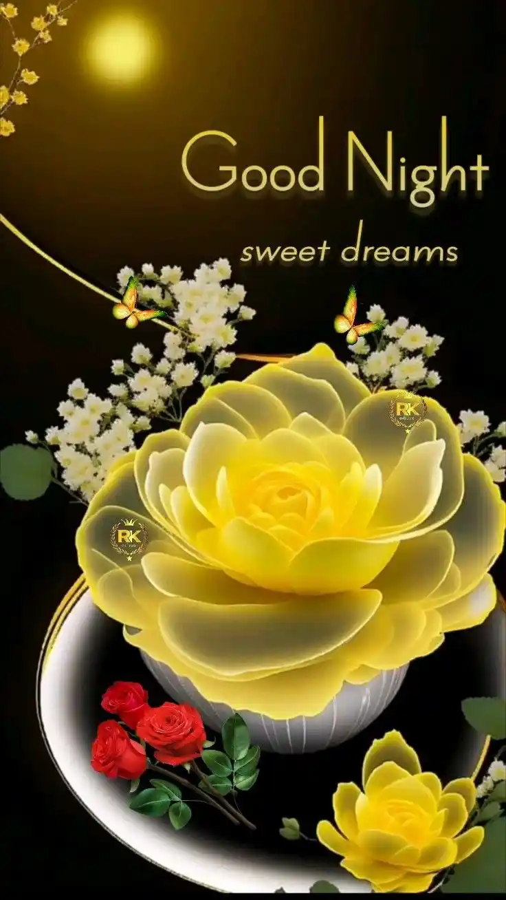 good night beautiful 33