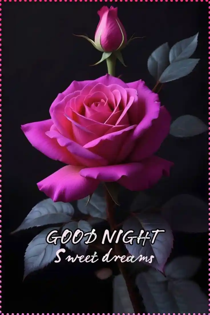 whatsapp dp in child good night	