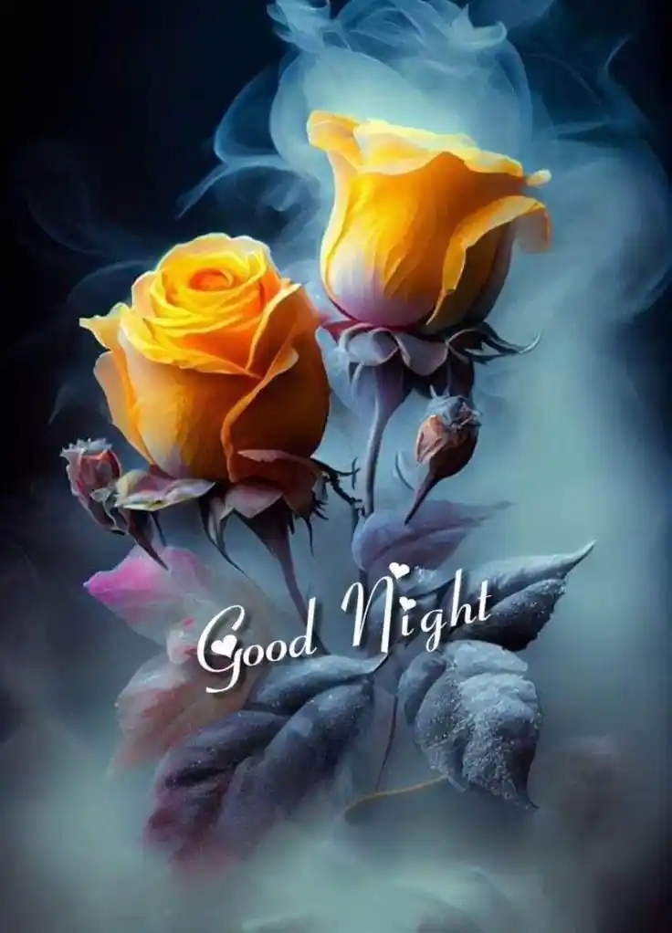 whatsapp dp images download good night