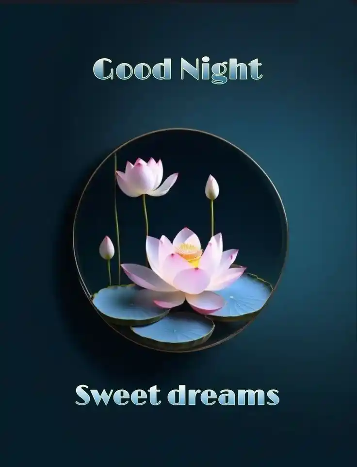 whatsapp dp hd for good night gif