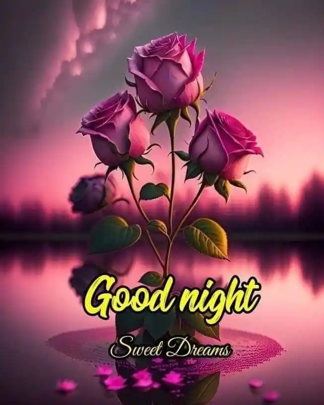 good night photo