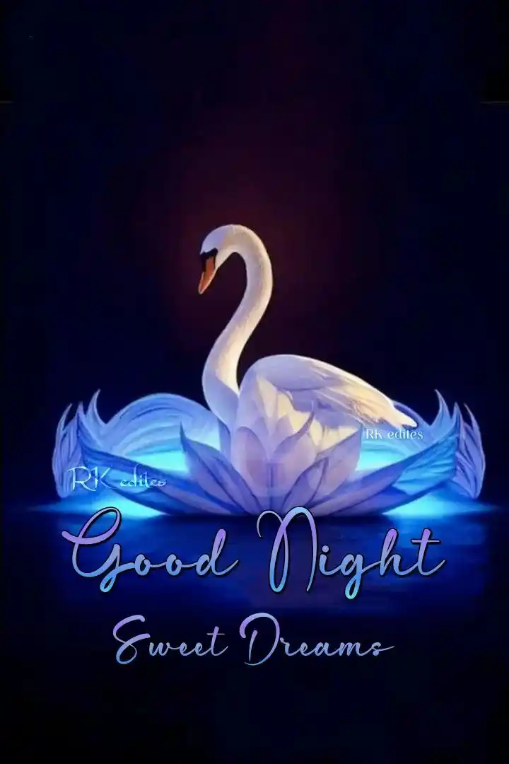 beautiful night wallpaper