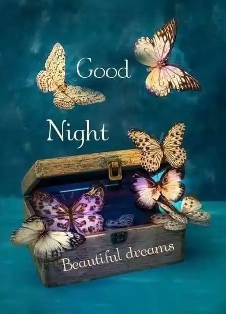 goodnight nature