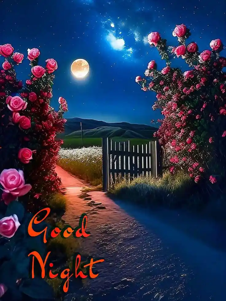 good night photos free download 