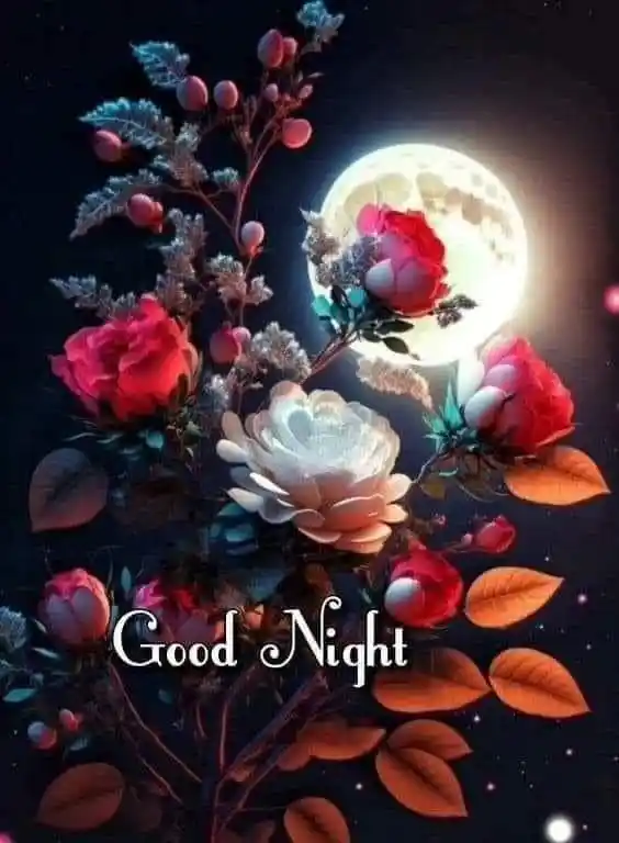 Free Download 7584+ Good Night DP Photo | Images | Photos | Wallpaper for Whatsapp | Instagram | Facebook 77 good night pic hd