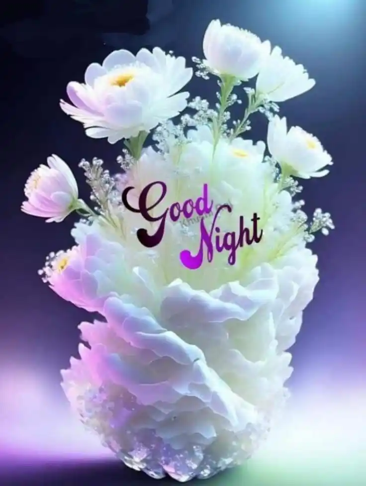 beautiful night photos