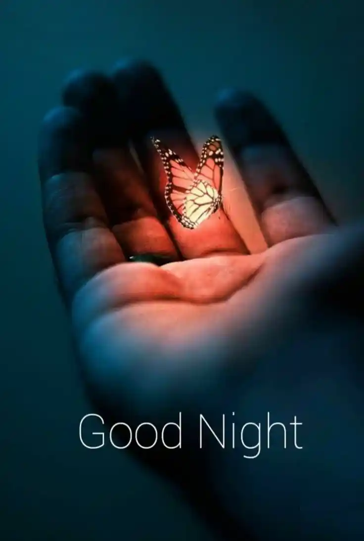 night view photos 