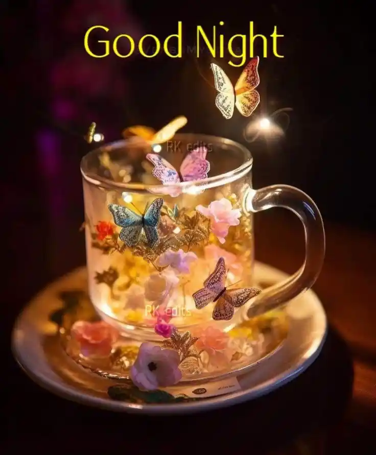 good night images in hindi