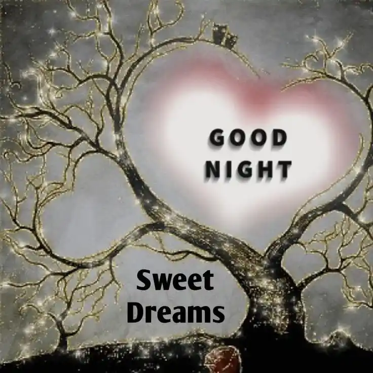 beautiful night sky 