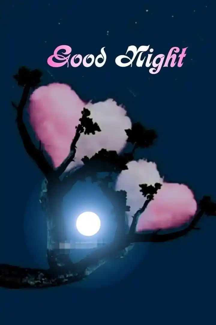 good night shayari dp download	