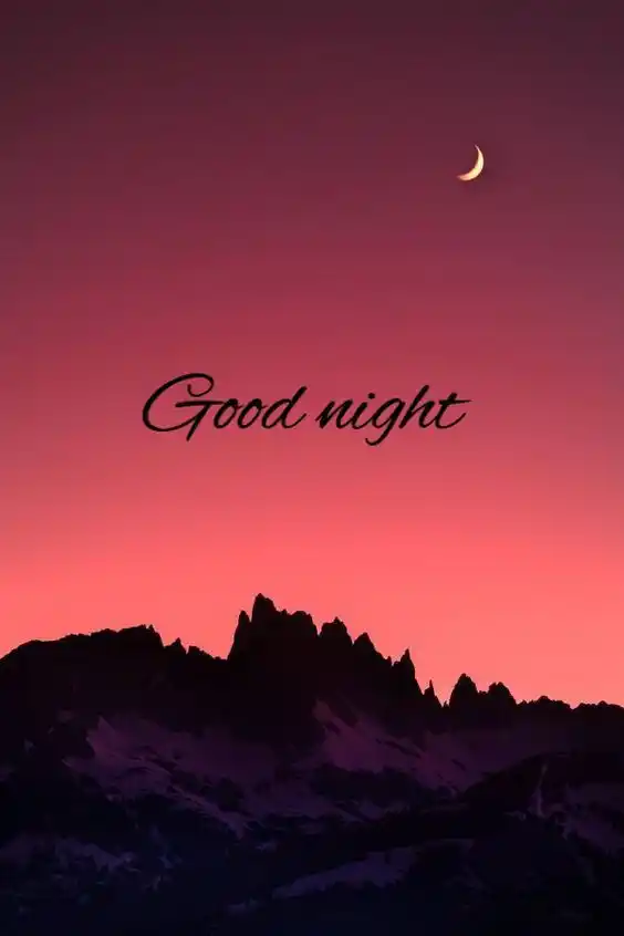 special good night wishes