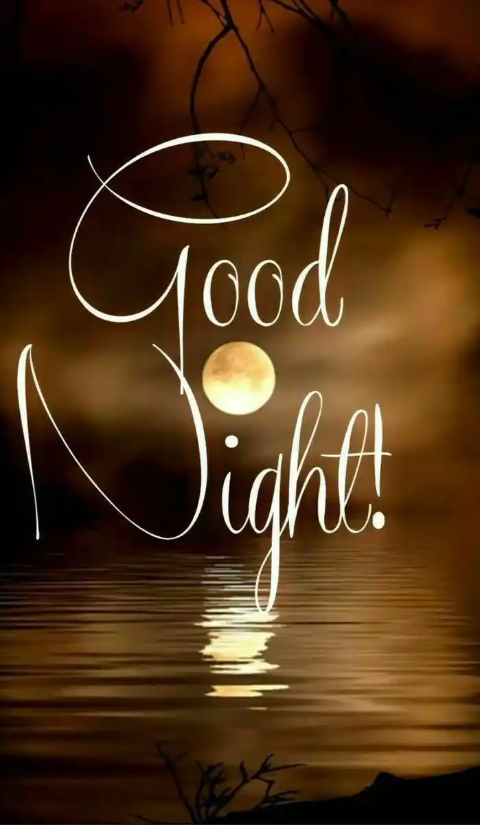 good night rose image dp