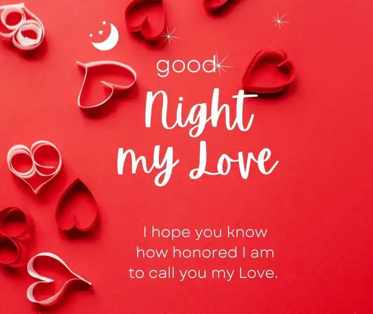 good night rose image