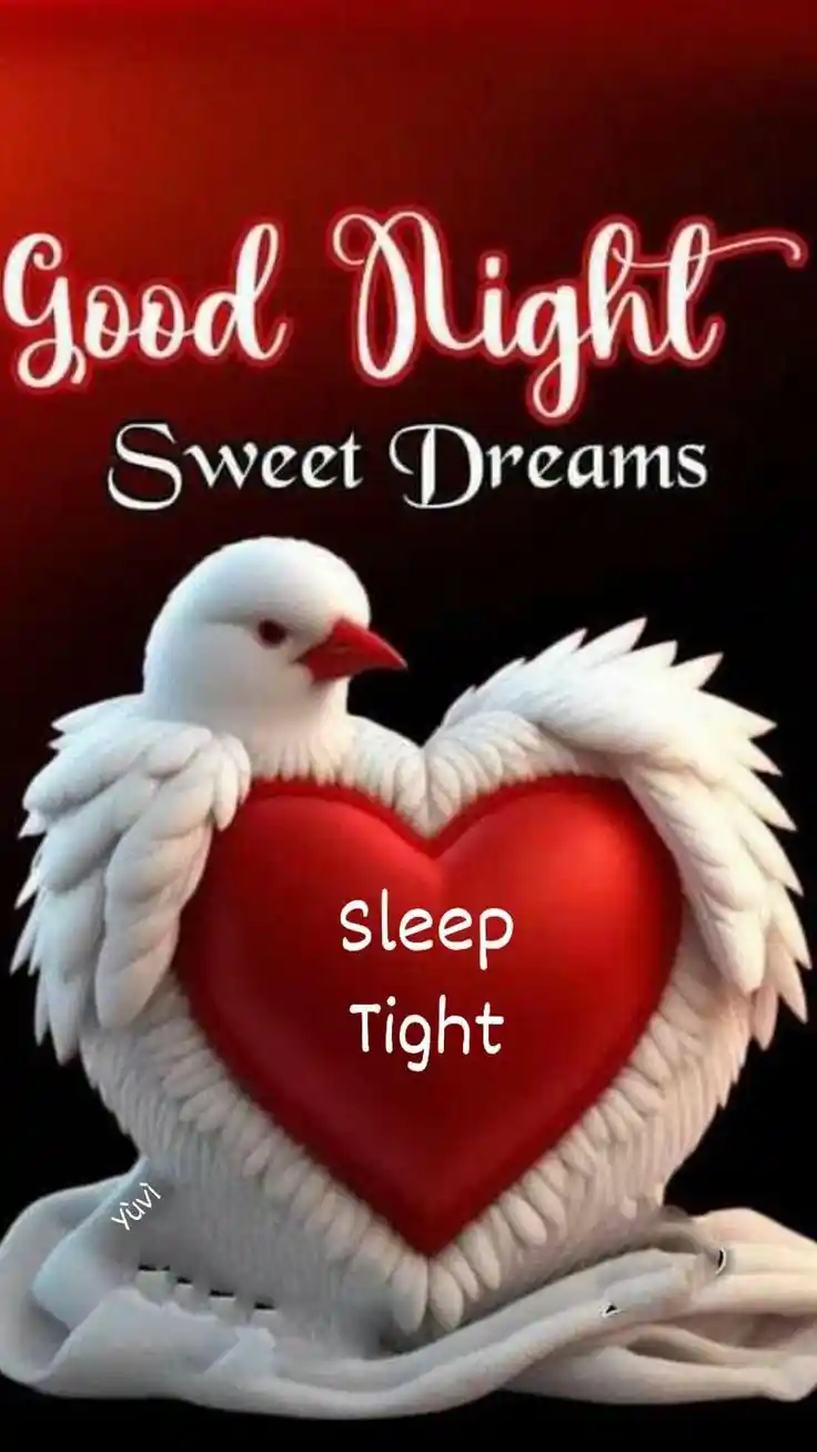 good night image status dp	