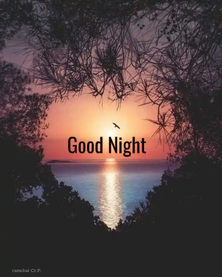 good night photos and quotes 88