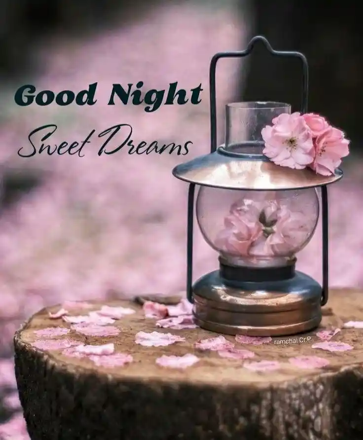 good night nature images