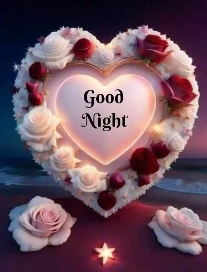 good night snaps