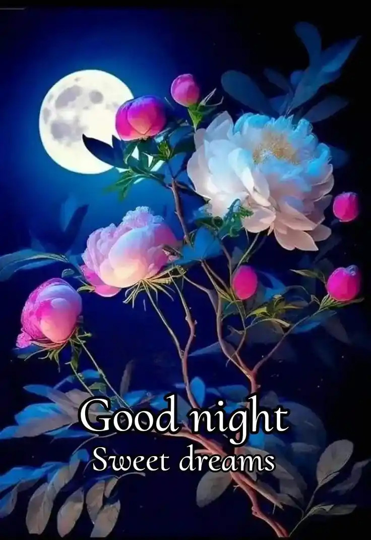good night pic baby 133