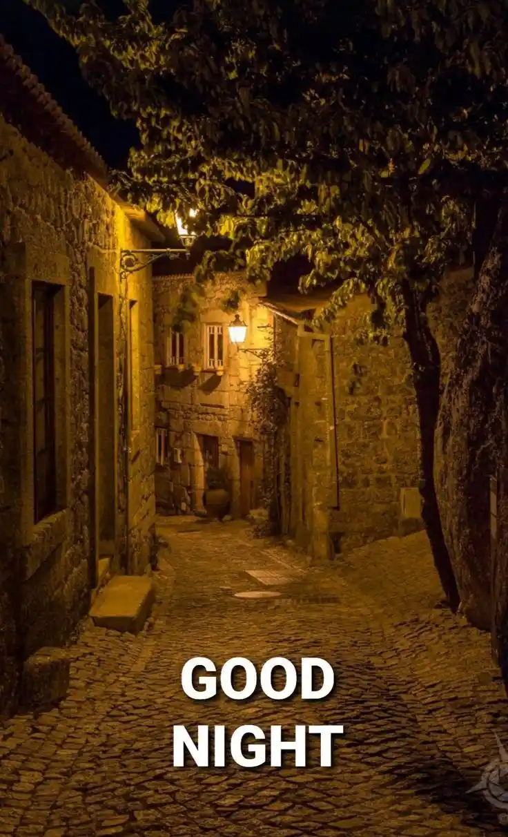 good night pic bengali gif 99