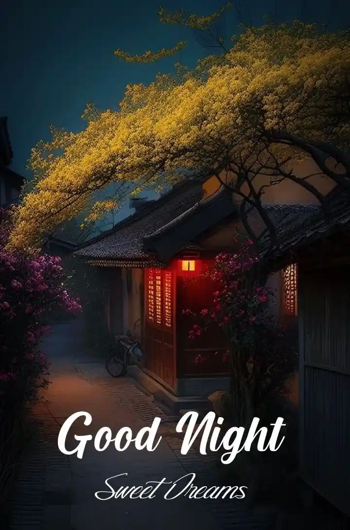 good night pic bengali 146