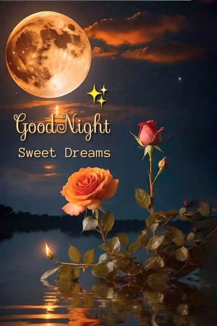 good night pic boy 62