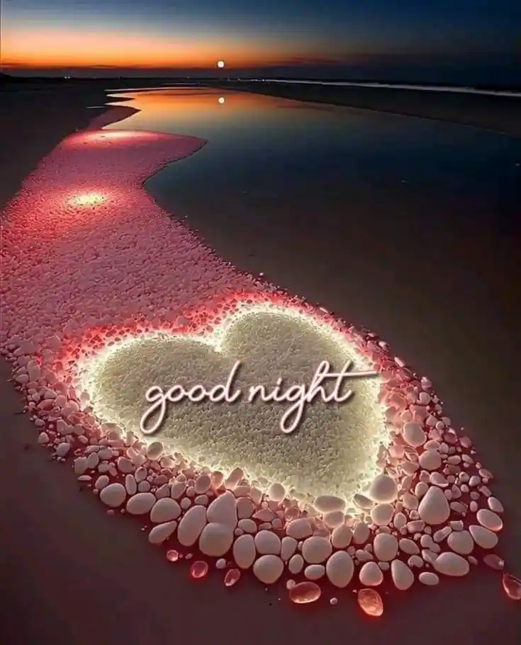 good night rose image