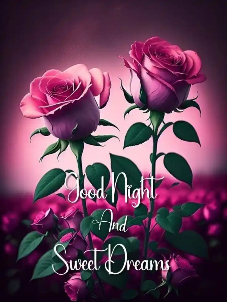 good night unique images