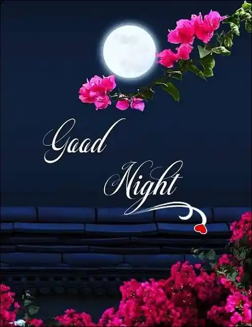 good night dp image download	