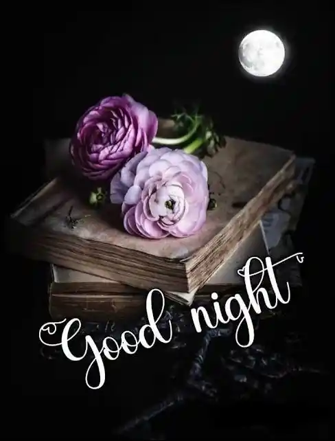 good night gif funny