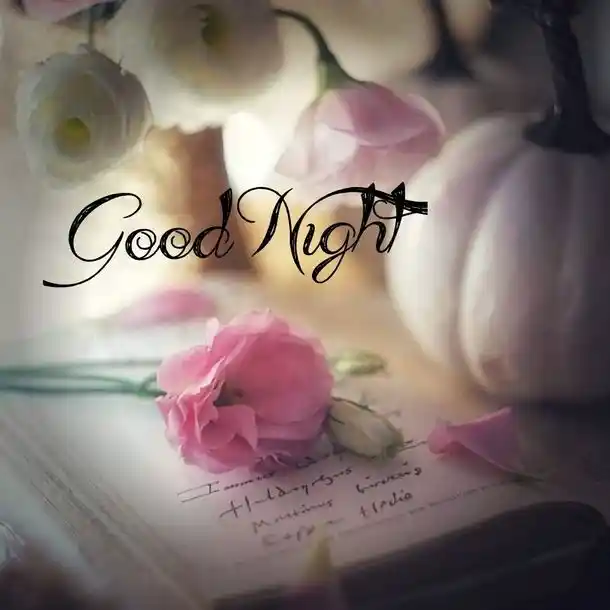 good nite images
