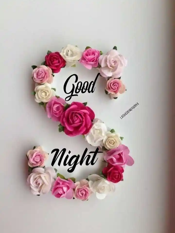 amacing flower with good night dp