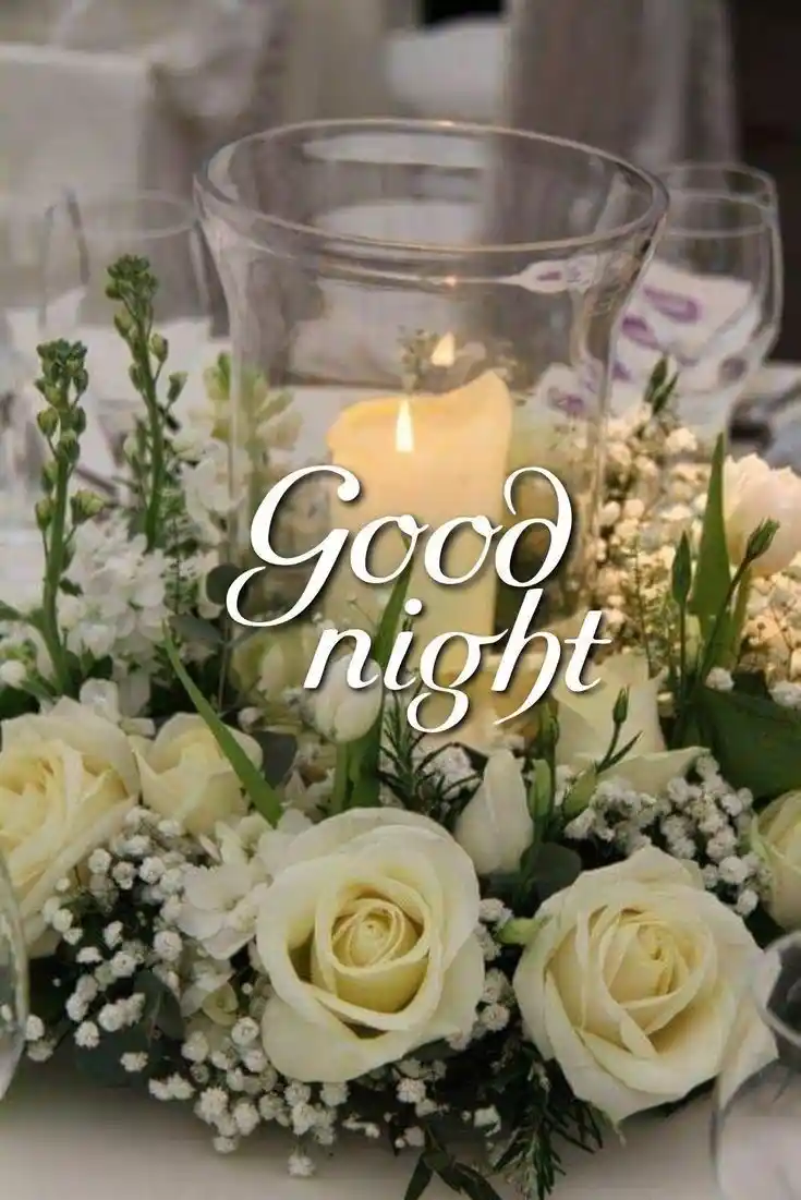 good night 35